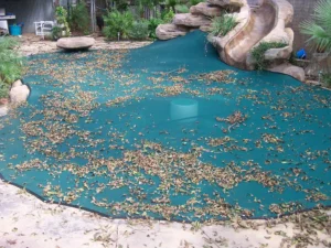 The Importance of Pool Leaf Cover Installations for Clean and Clear Pools